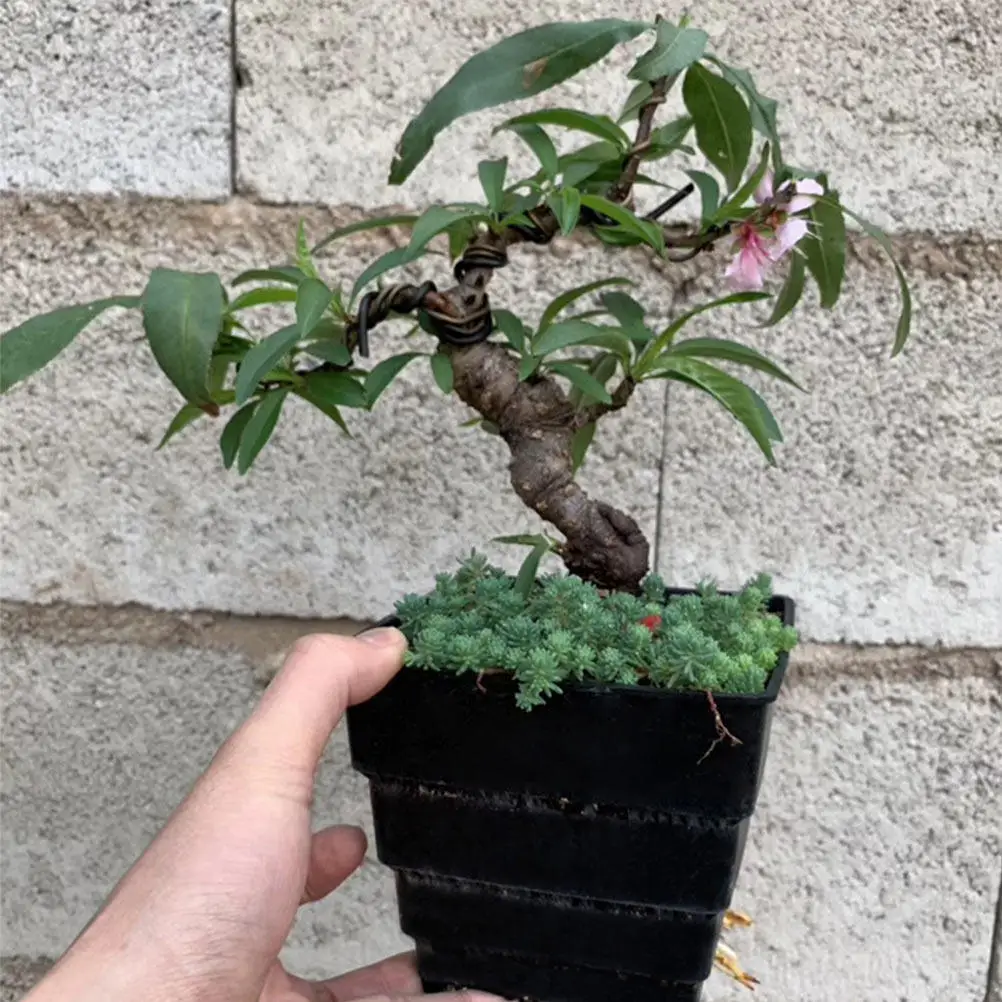 

1Pcs Breathable Plastic Flowerpot Premium Durable Resin Succulent Planter Home Office Indoor Decorative Pot Flower Pot