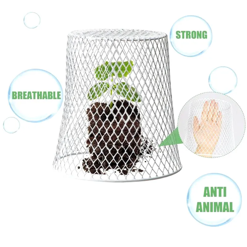BHTS-Iron Garden Plant Protector-10Pcs Vegetable& Fruit Safety Cage For Nurseries And Greenhouses