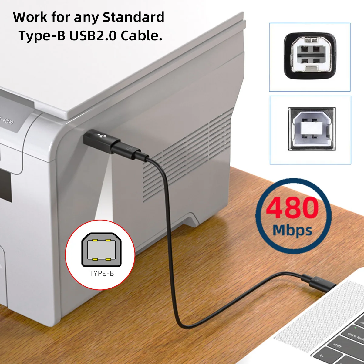Cablecc-adaptador de extensão para impressora e disco de telefone, usb 2.0 b fêmea para tipo c macho, 2 partes um conjunto