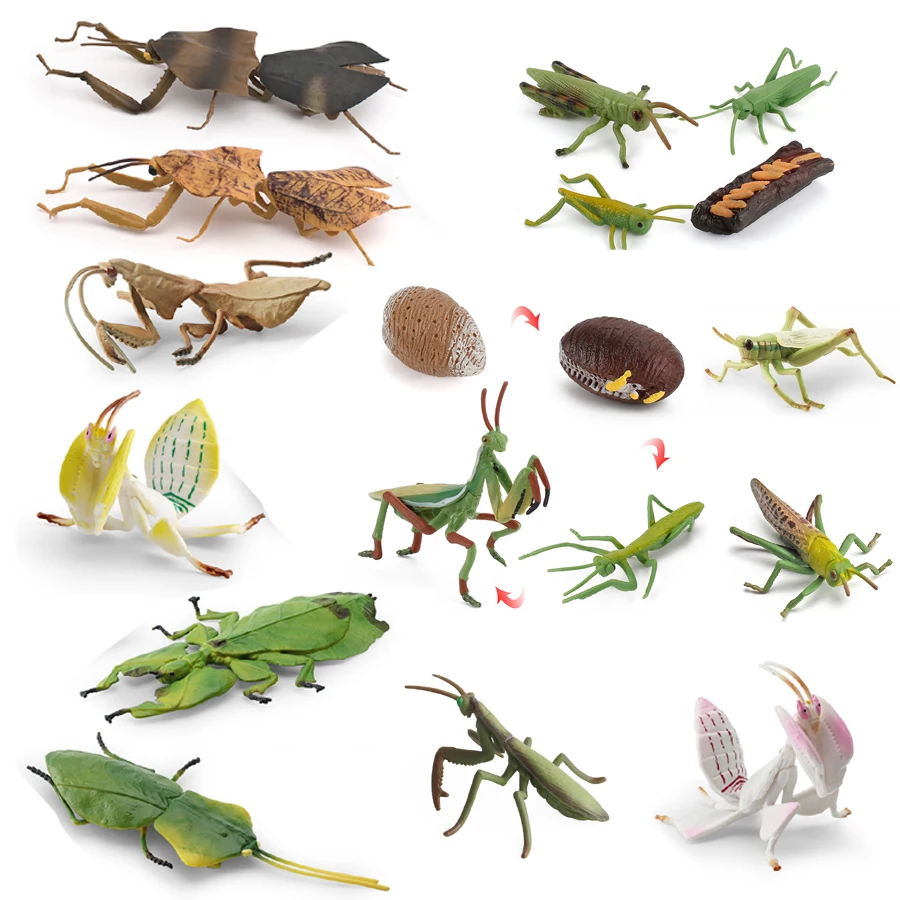 

Realistic Orchid Mantis Dead Leaf Mantis Giant Leaf Insect Grasshopper Model Figure Educational Toy Home Decor Collection Gift