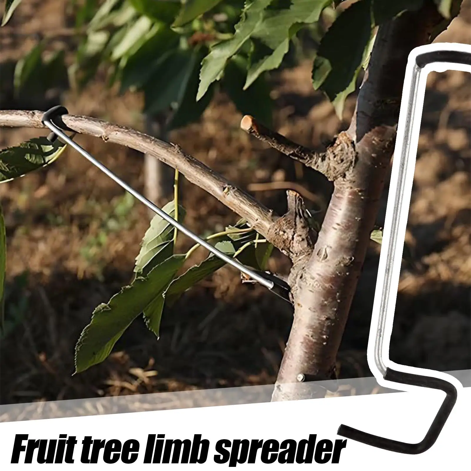 10Pcs Fruit Tree Branches Holder Plant Support Fruit Branch Spreader Tree Branch Support Frame For Yard Garden Farming Orchard