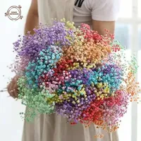 100g Dried Flowers Baby Breath Preserved Flowers Gypsophila Bouquet Boho Home Decor Colorful Gypsophile Wedding Party Decoration
