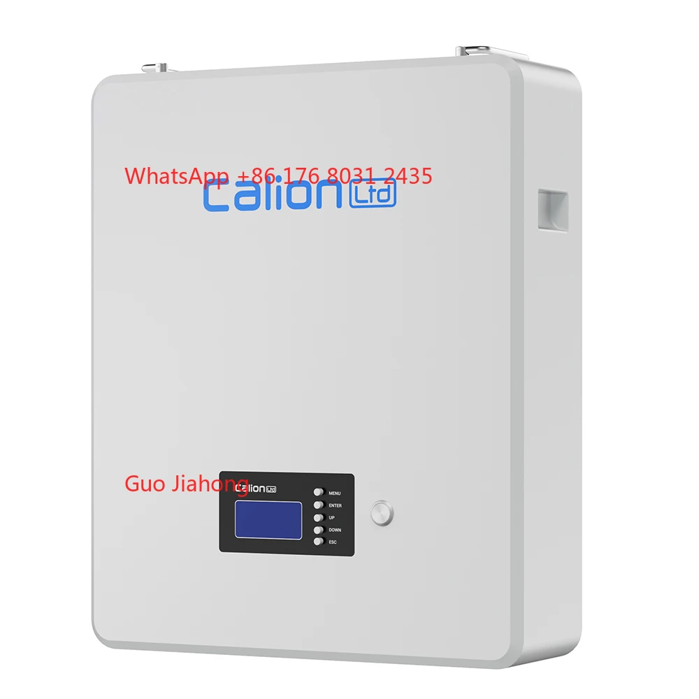 

10Kwh 20Kwh 48V Battery Wall Mount Lithium Ion Solar Energy Storage Batteries Wall-Mounted Household for Solar