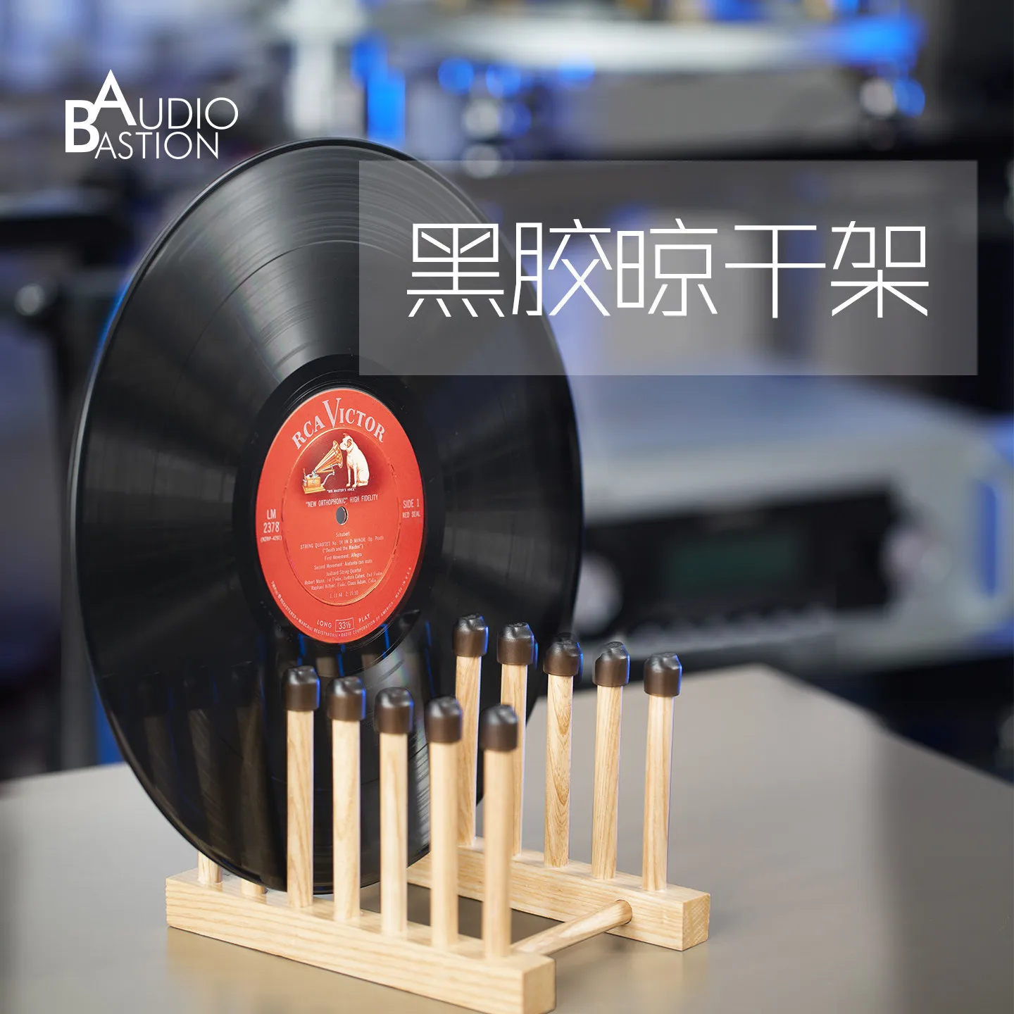 Vinyl record cleaning and drying rack AudioBastion ash wood LP storage rack display storage dual-purpose bracket