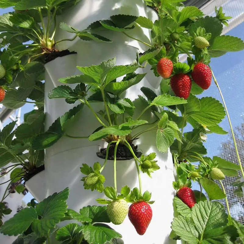 Vertical Hydroponic Tower Planting System 6P6 Aeroponic Equipment Soilless Cultivation Planter