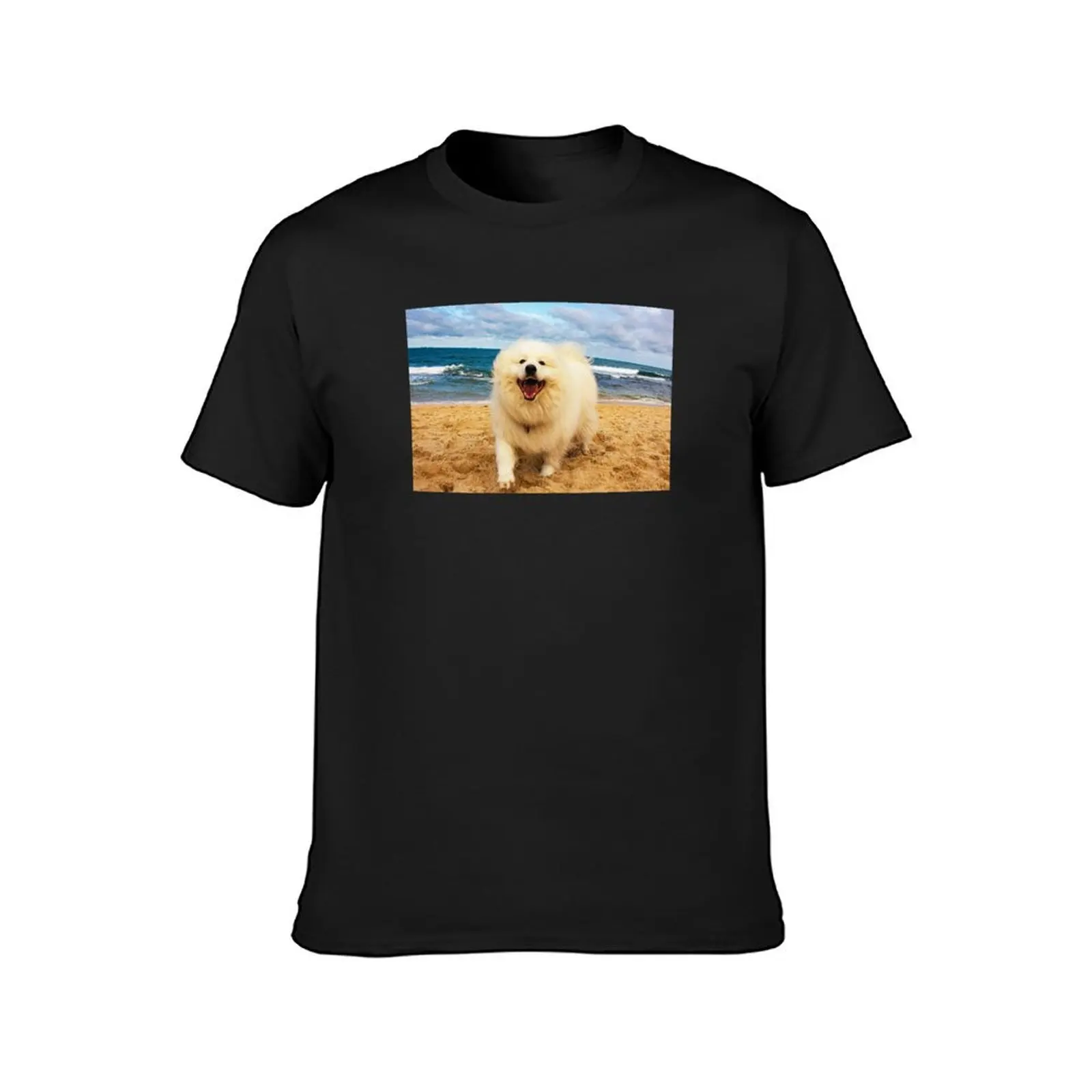 Samoyed Dog At The Beach T-Shirt graphics sweat mens tall t shirts