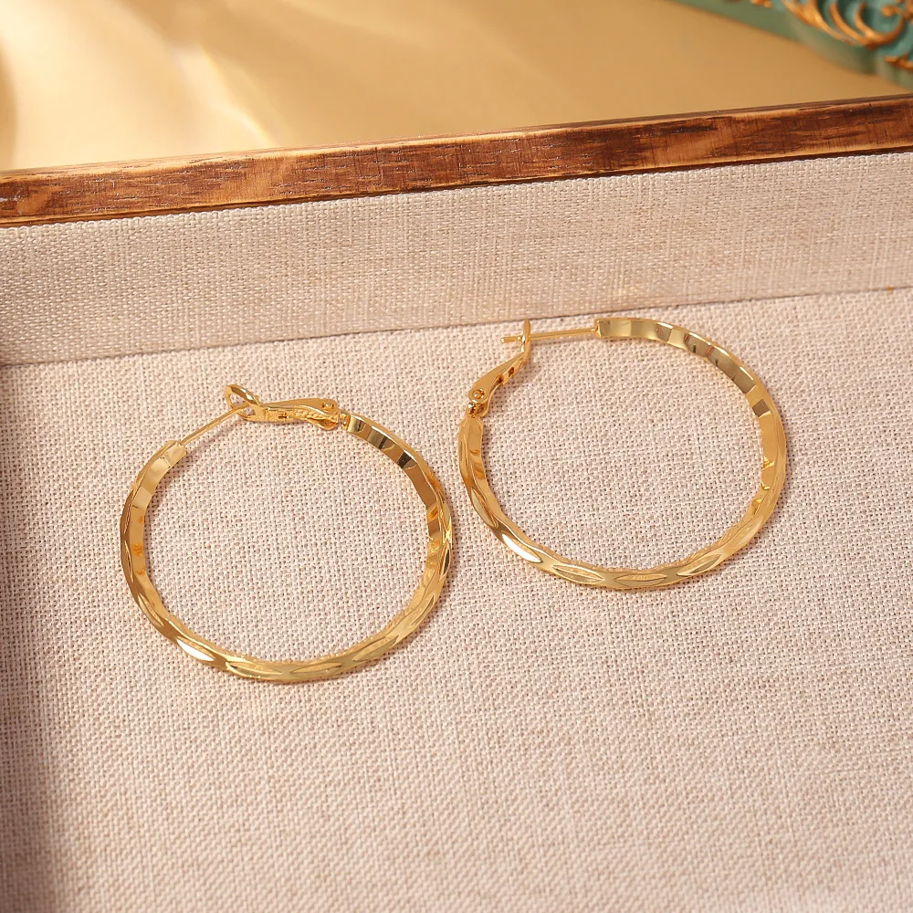 

Fashionable, exquisite and simple hoop earrings, high-end, cool and niche design, elegant and personalized earrings for women