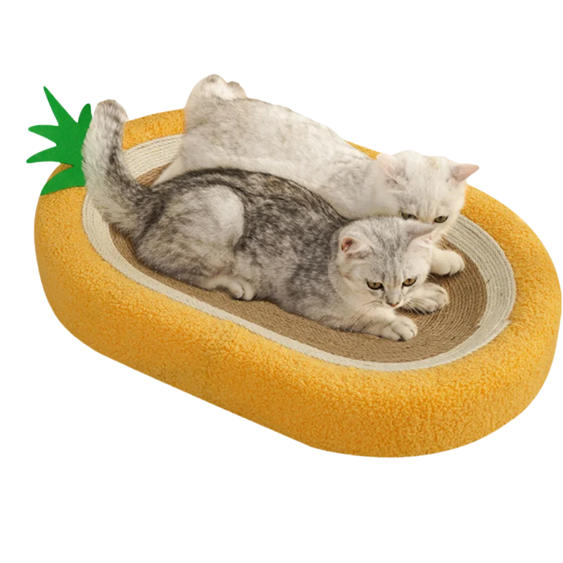 Bowl Shaped Scratcher Cardboard Cat Bed Thickened Cardboard Cat Bed Wear-Resistant Cat Scratch Board For Indoor Cats Kittens