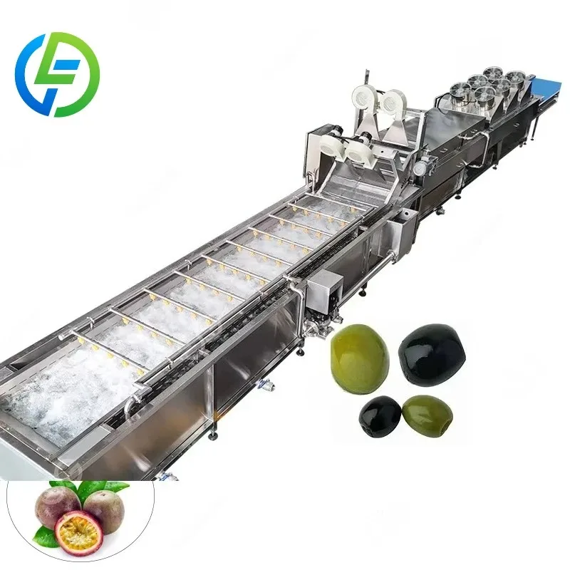 Customized Baby Food Fruit Washer Elevator Salad or Vegetable Washing and Cleaning Machine with Ozone - view 2