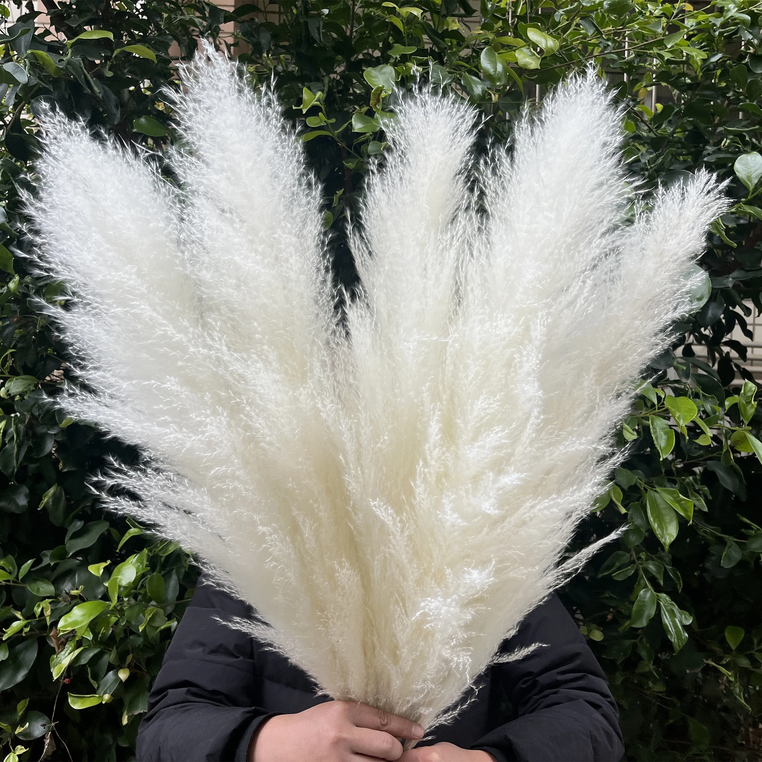 

5pcs/10pcs A Lot White Big Pampas Grass Dried Flower About 80cm Reed Grass For Wedding Party Centerpiece decoration bapt