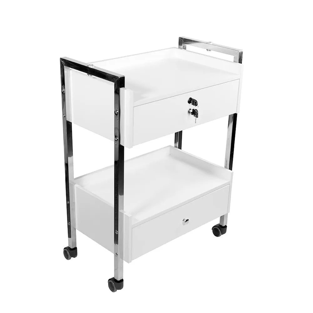 Supreme Medical Dental Mobile Utility Cabinet with Steel Frame and Two Drawer With One lockable Drawer cart
