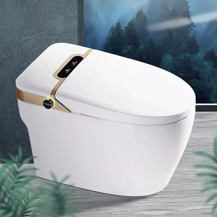 Commode Wc Sanitary Wares Bathroom One Piece Intelligent Gold And Black 220 Anti Smell Floor Mounted Smart Toilet