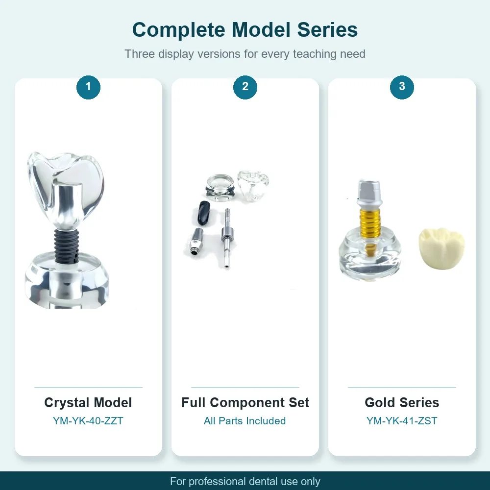 Crystal Dental Implant Demonstration Model 1:10 Scale Transparent Base Removable Abutment Crown Dental Teaching Tool