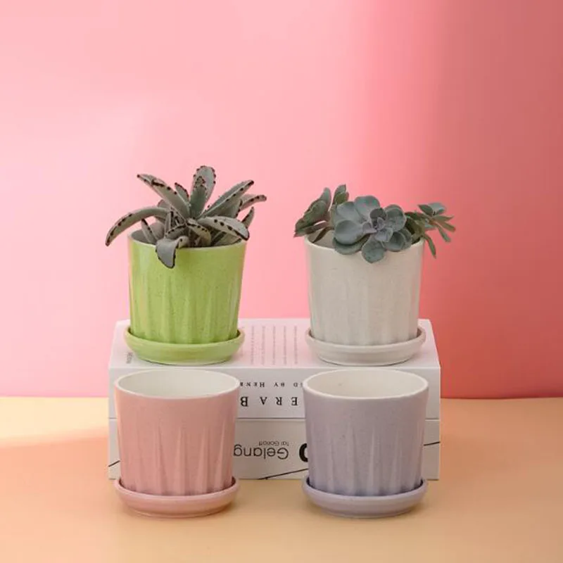 Porcelain Candy Color Succulent Plant Pot with A Tray Office Bonsai Vase Planter Desktop Ornaments Home Garden Decor