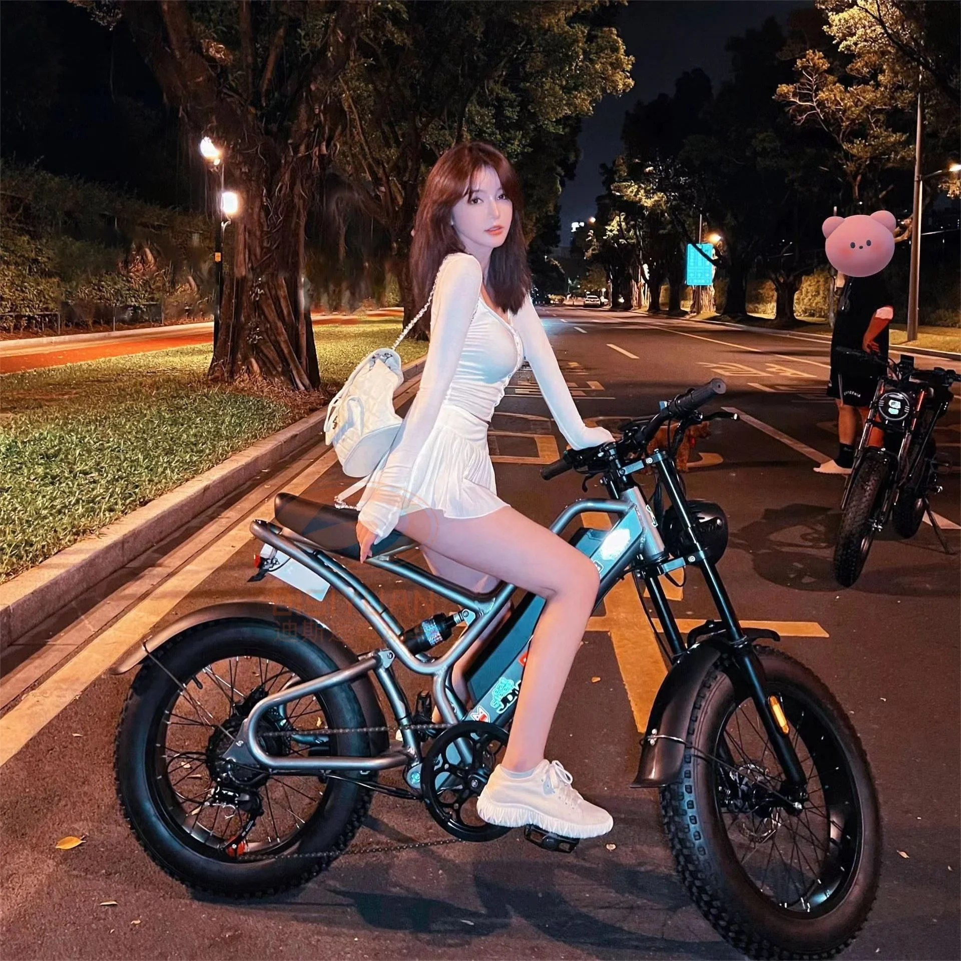 

2024 New S9 Electric Mountain Bicycle 48v 750w 500W 20 Inch Fat Tire V20 EU Fast Lithium Battery Alloy Dirt Ebike