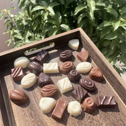 Simulated Pure Black Chocolate, Hazelnut, White, Brown, Rum Flavor, Dessert Shop, Bakery, Coffee Shop Display, Fake Food 8pc/set