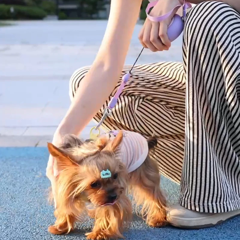 Booteely 3M Auto Retractable Dog Leash Hand Loop Compact Portable Traction Rope Smooth Round Anti-Tangle Leash For Kitten Small