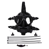 Full Face Diving Goggle Anti Fog Leakproof 180° Panoramic View Silicone  Face Goggle with Camera Mount  Face Goggle
