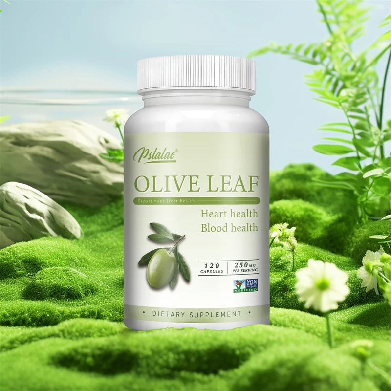 Hoja de olivo: los suplementos antioxidantes son beneficios para la salud cardíaca y cardiovascular y proporcionan apoyo inmunológico