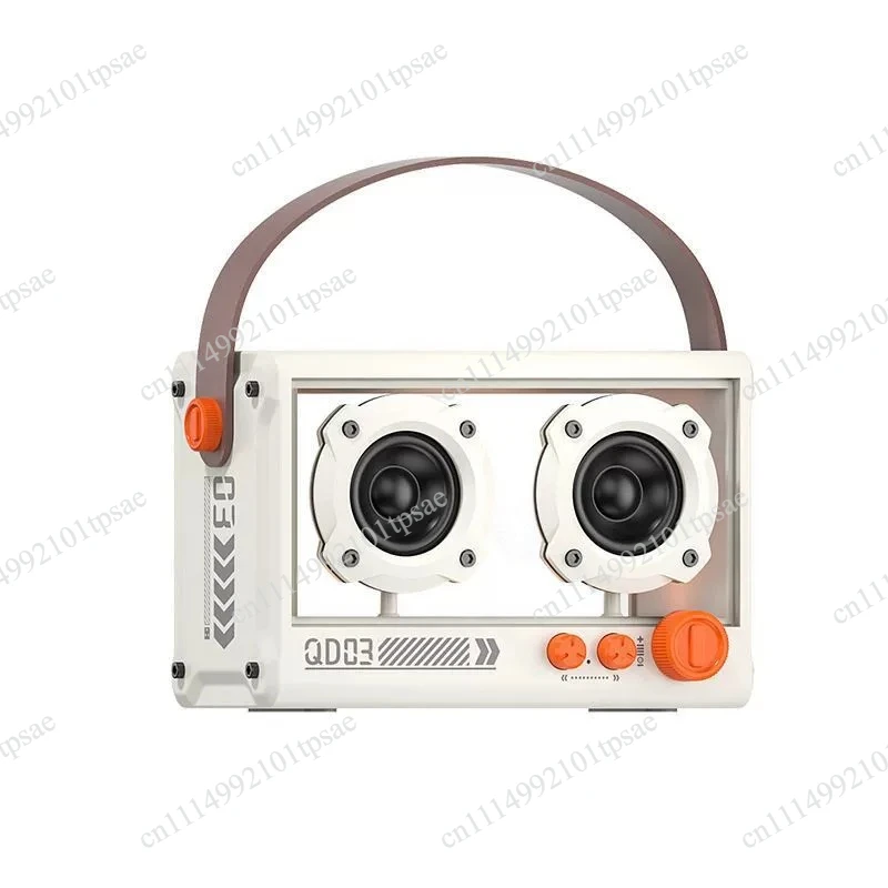 10W Stereo Karaoke Bluetooth Speaker, Built-in Mic with Cool Lights, Portable for Singing & Music