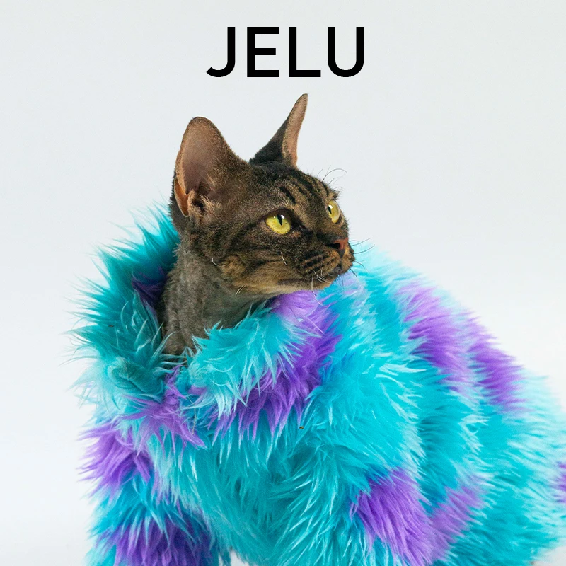 

JELU Jilu Sullivan Hairless Cat Devon Sphinx Winter Coat Coat Coat Warm And Thickened