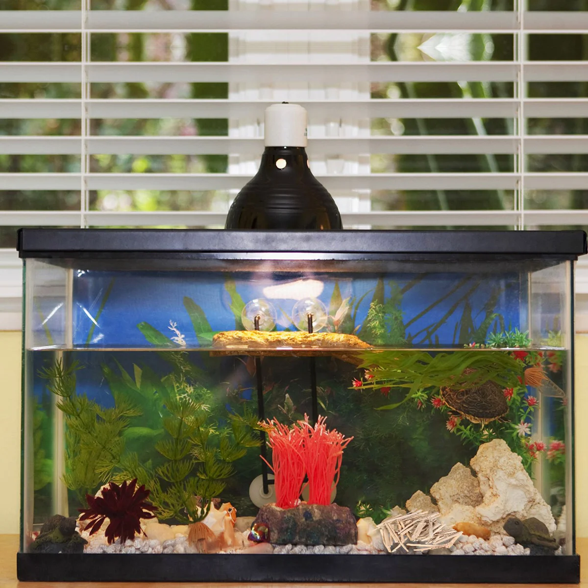 

Natural Driftwood For Fish Tank Decor Real Wood Aquarium Ornament Branches Moss Anchoring Planting Buds Ph Buffering