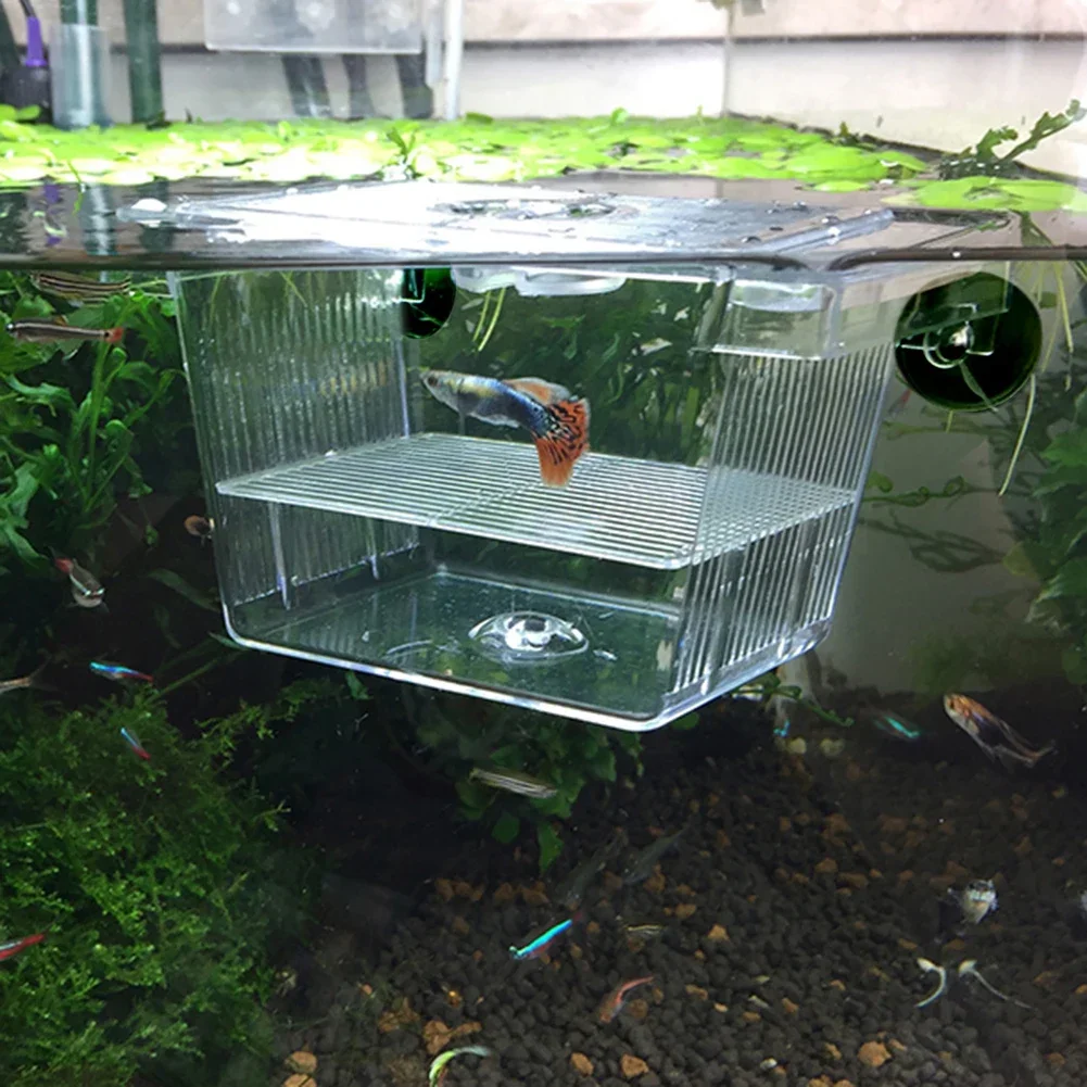 جديد الأسماك الديكور التفريخ غرفة الاكريليك خزان الأسماك عزل صندوق حوض السمك الأحداث حاضنة الأسماك حامل