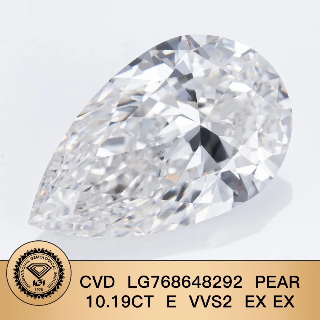 Variant: PS 10.19CT E VVS2