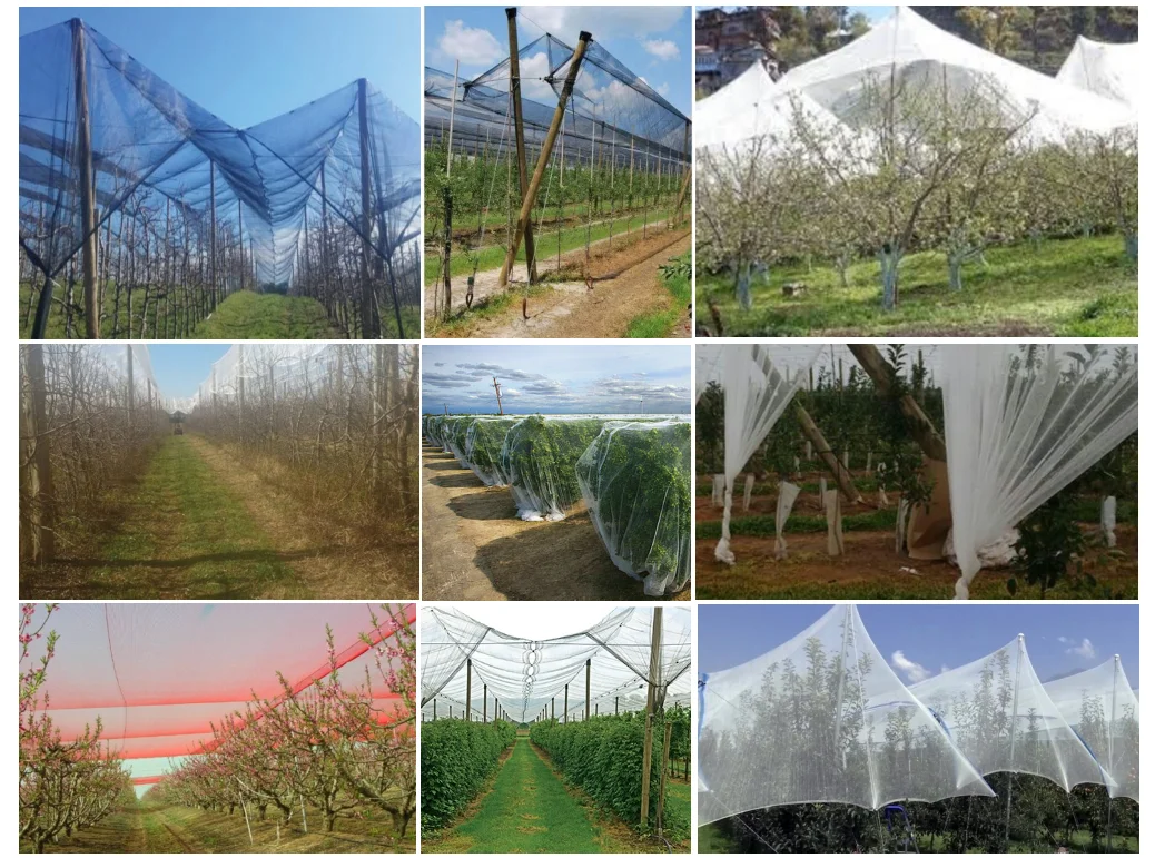 Premium Virgin HDPE Anti Hail Net for Greenhouse Protection