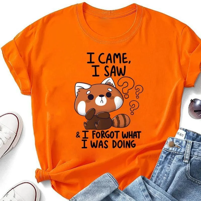 Cute Raccoon I Came I Saw T-shirts For Women Summer Tee Shirt Femme Casual Short Sleeve Round Neck Tops T-shirts