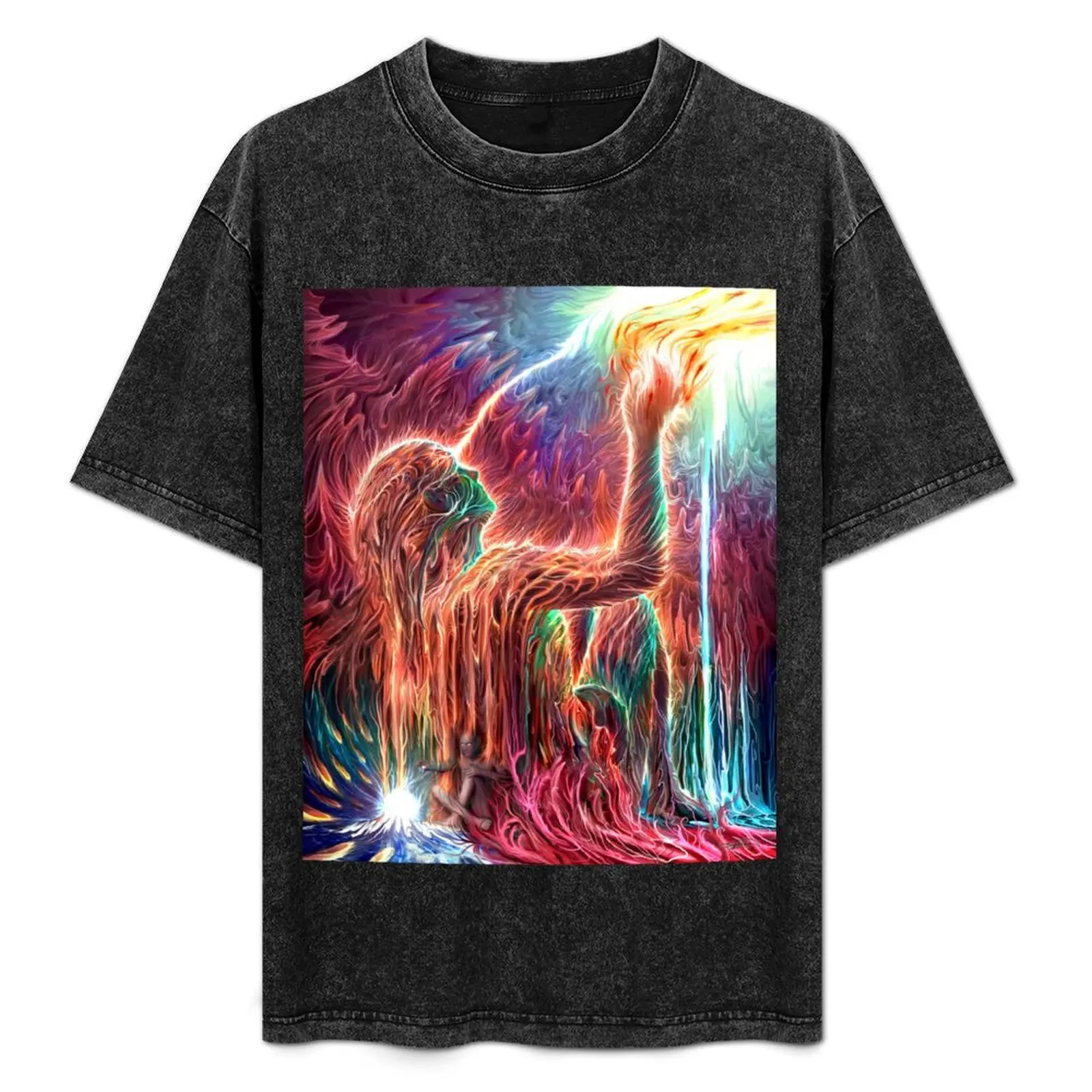 

Manifestation Apotheosis T-Shirt anime graphic t shirts quick-drying shirts men graphic