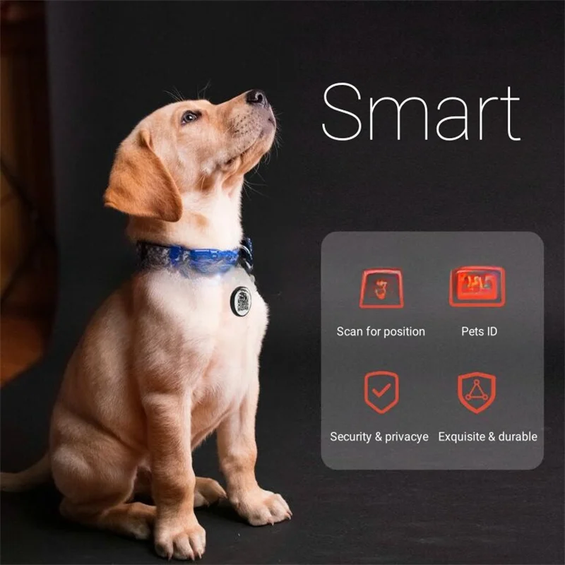 QR Code Dog Tag Multi-Language Smart ID Pendant Metal Key Ring Pet Badge Cat Collar Accessories Plaque for Pets Personalized