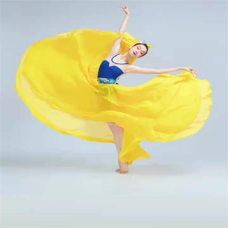 Belly Dance Costume Classical Dance Performance Women Elegant Chiffon Practice Skirt 720 Degree Large Swing Skirt Modern Ballet