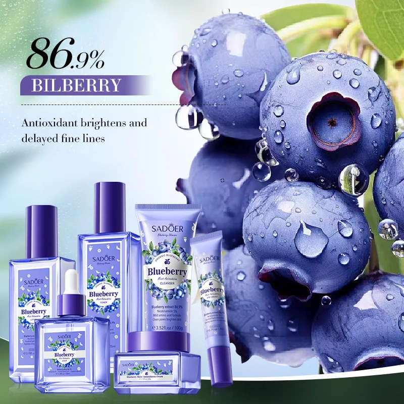 Blueberry Hyaluronic Acid Moisturizing Six-Piece Set: A hydrating skincare gift set suitable for holidays.