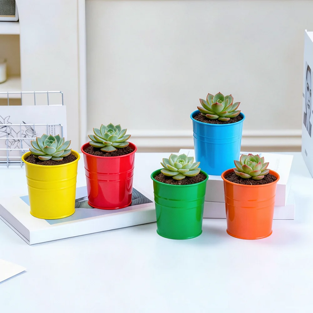 Desktop Decorative Iron Flower Pot Small Succulent Holder Modern American Style Vase Container Home Office Greenery