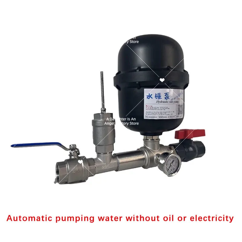 1-Inch Stainless Steel Pump Body Gun Type Water Hammer Pump Kit Send Interface Single And Double Valve