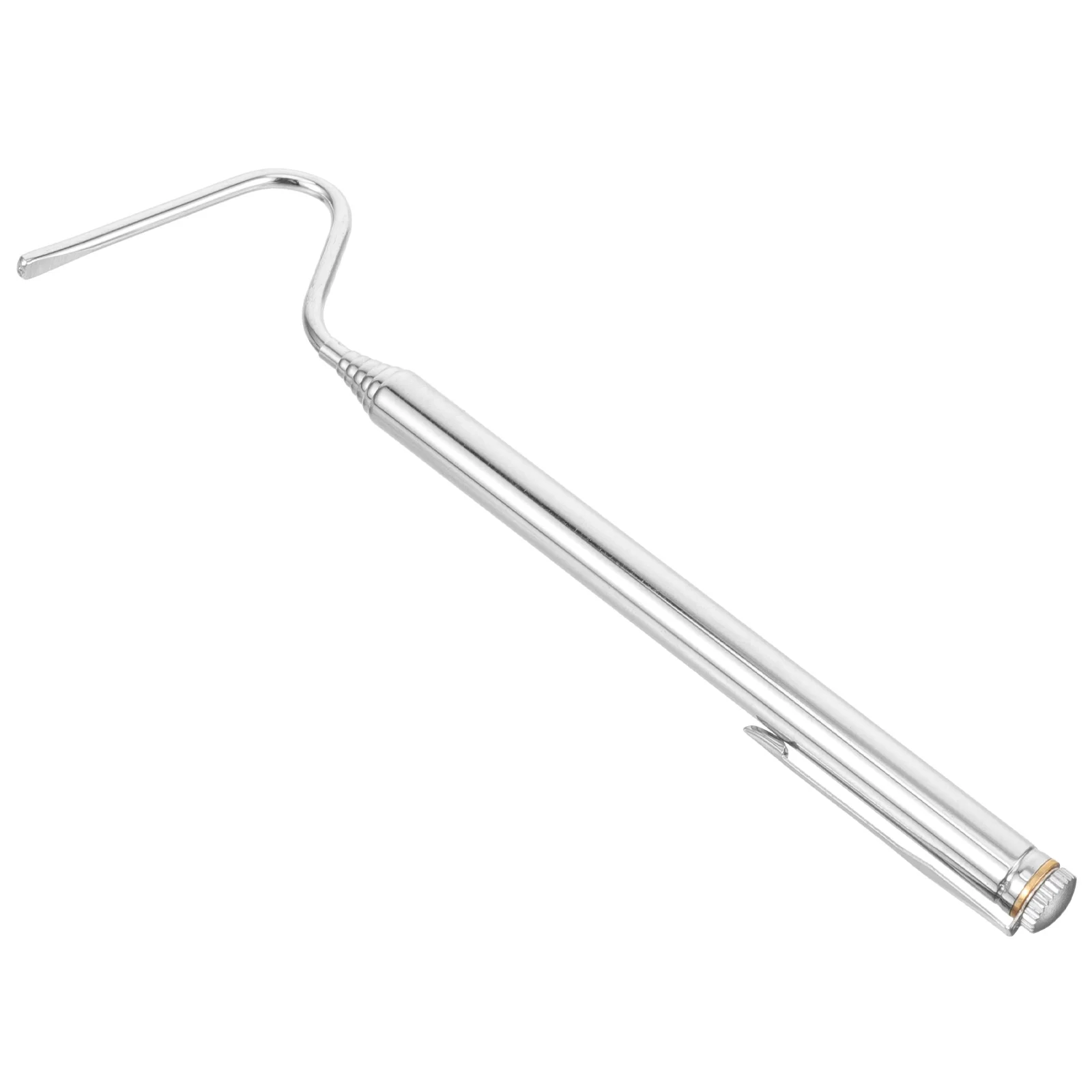 الفولاذ المقاوم للصدأ قابل للسحب ثعبان هوك قابل للتعديل تلسكوبي الزواحف اصطياد أداة المهنية ثعبان المنتزع الزواحف هوك