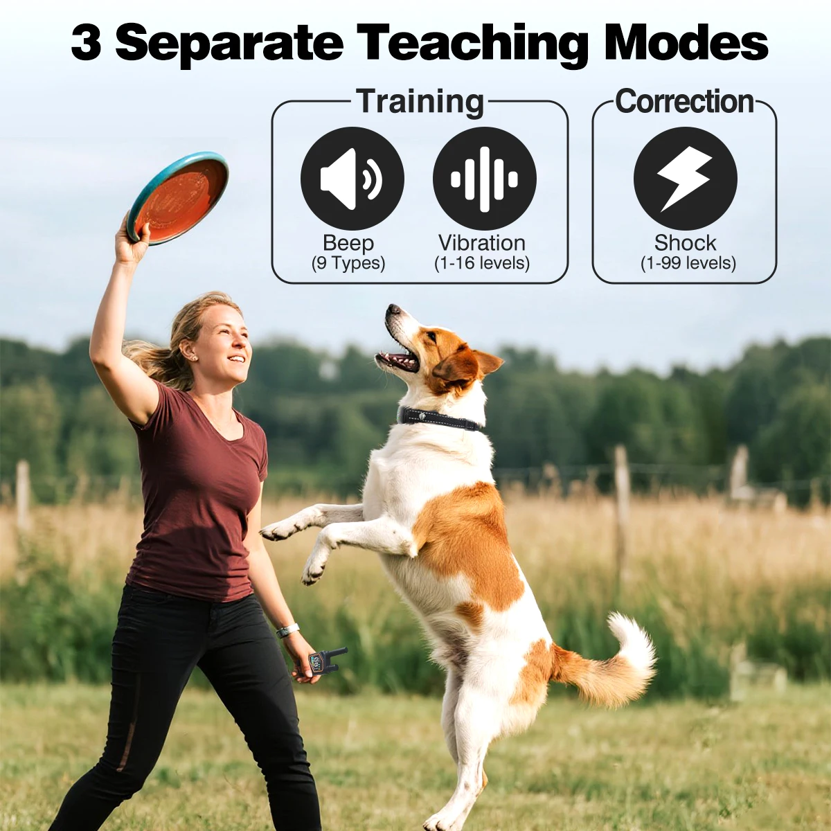 Remote Dog Training Collar 1000M Range IPX7 Waterproof Shock Vibration Beep All Dog Breeds Fashion Eco-Friendly Plastic