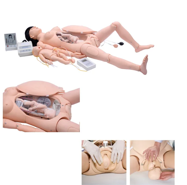 training doll Female Medical Science educational plastic Human biology teaching anatomy birthing delivery teaching model