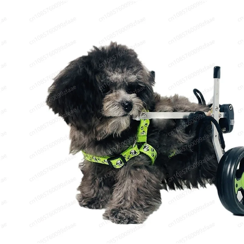 

Dog wheelchair hind leg disabled car
