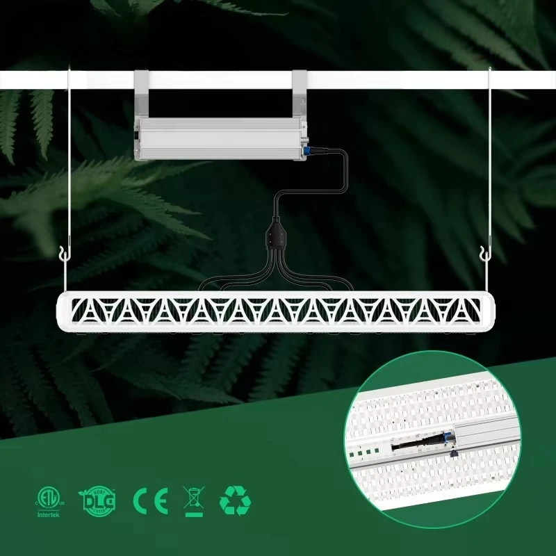 600W 1000W LED Grow Lights Full Spectrum Dimmable Easy Install 5 Year Warranty for Leafy Flower Fast Cooling Lamp