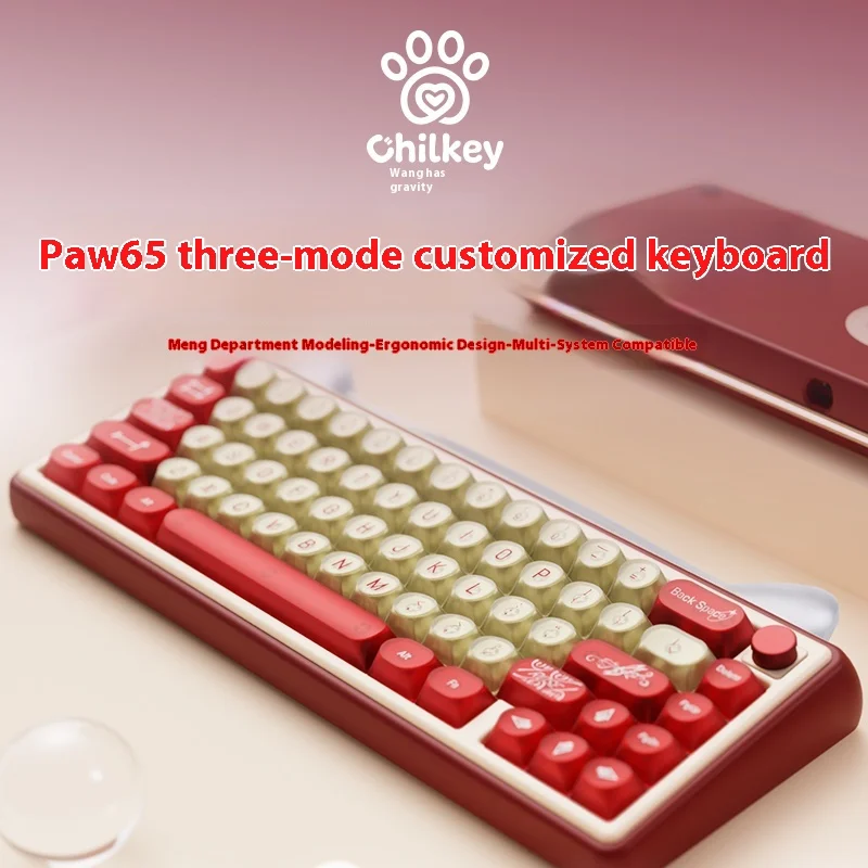 Chilkey Paw65 Mechanical Keyboard Rgb 3mode Gamer Keyboard With Knob Aluminum 66Keys Hot Swap Customization Pc Accessory Gifts