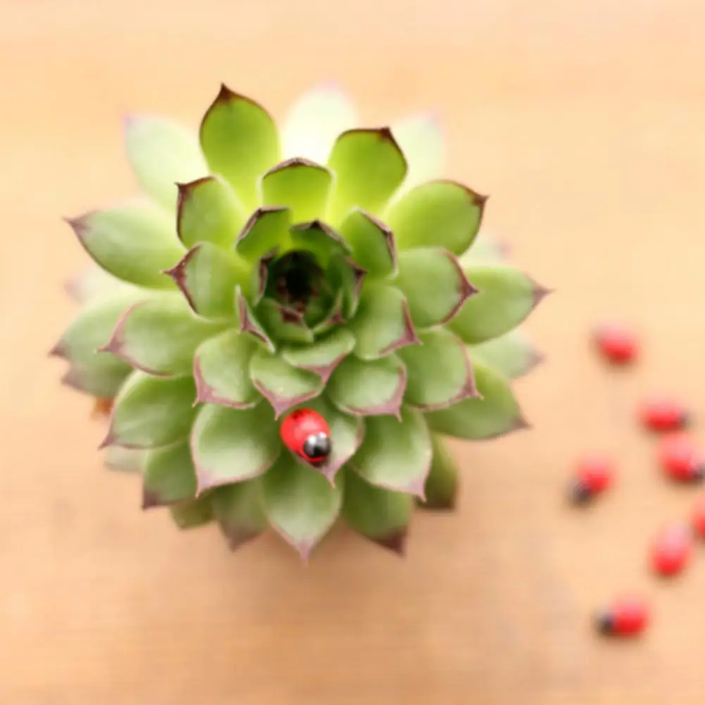 Small Decorative Figurines 10 Pcs Miniature Ladybug Figurines Tiny Ladybug Statues for Fairy Garden Decor Micro Landscape