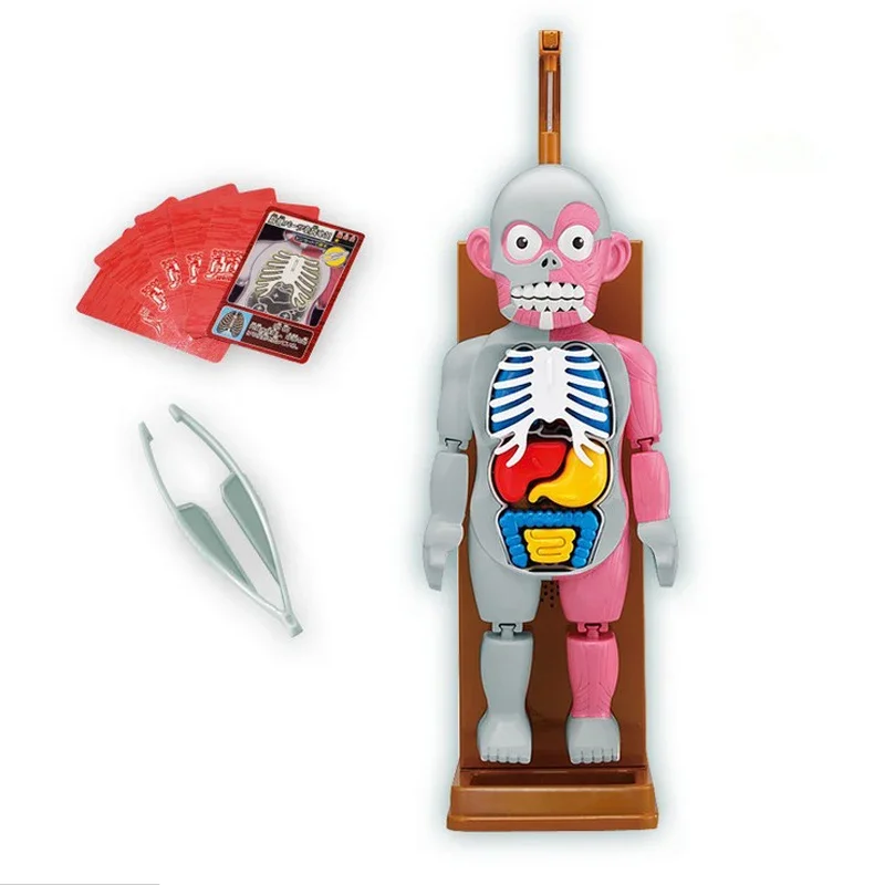 Novelty Gifts Funny Gag Toys Simulation Human Scary Toy Christmas Party Game Organs Assembled 3D Puzzle Tricky Joke Family Games