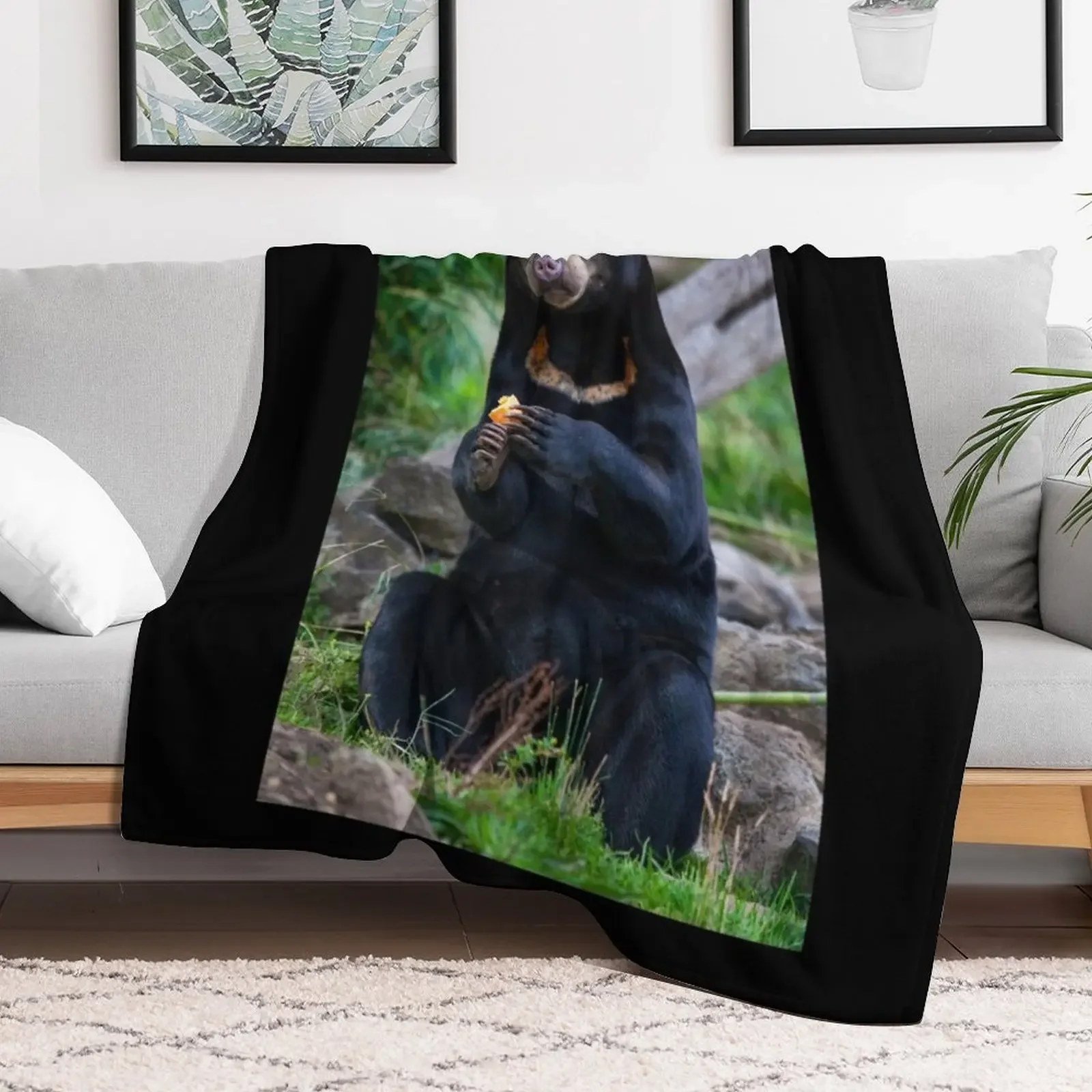 Malayan Sun Bear Contemplating Throw Blanket Warm Accent Blanket for Living Room Decoration