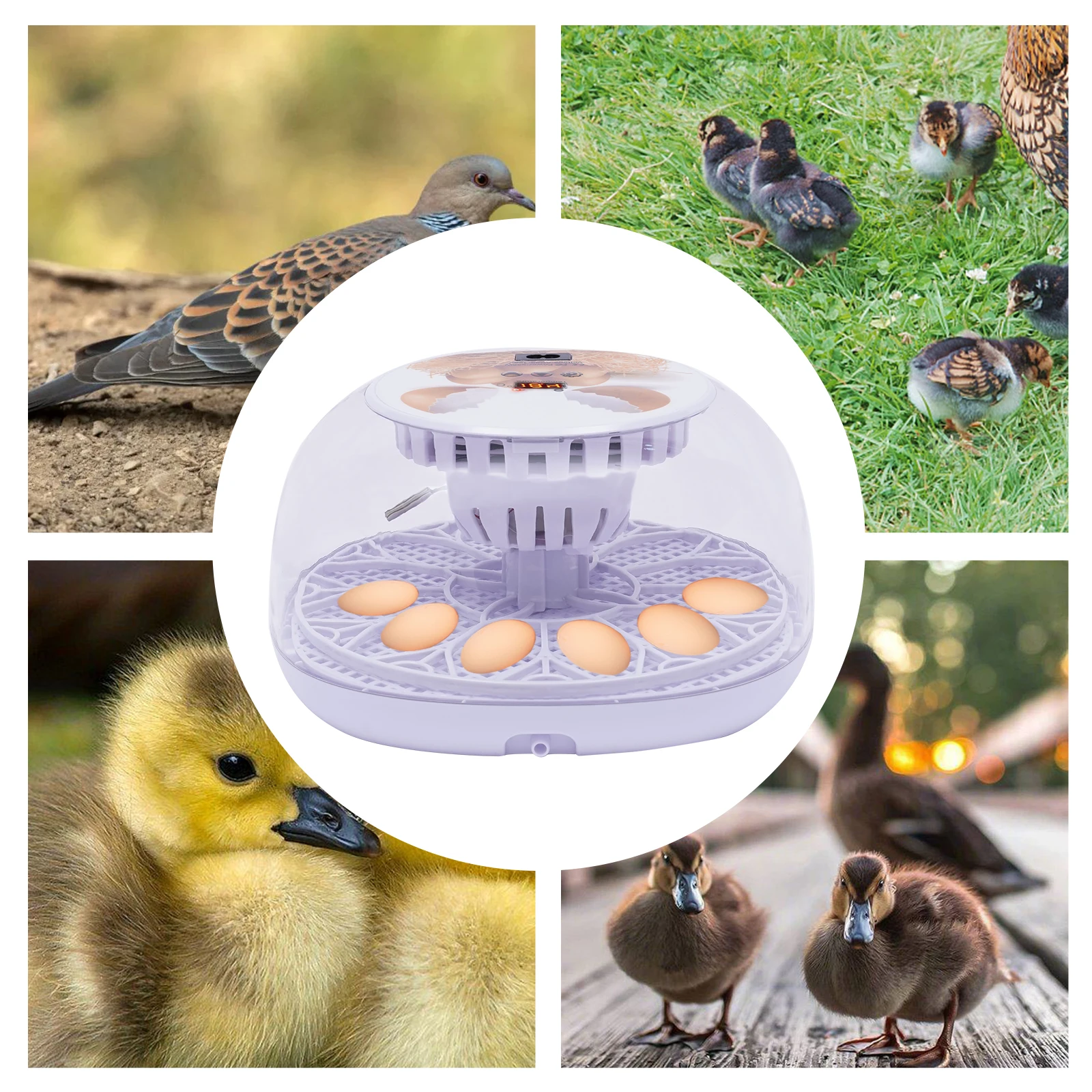 

Full Automatic Incubator Temperature Humidity Control Hatchery Machine Chicken Duck Quail Bird Brooder Incubator