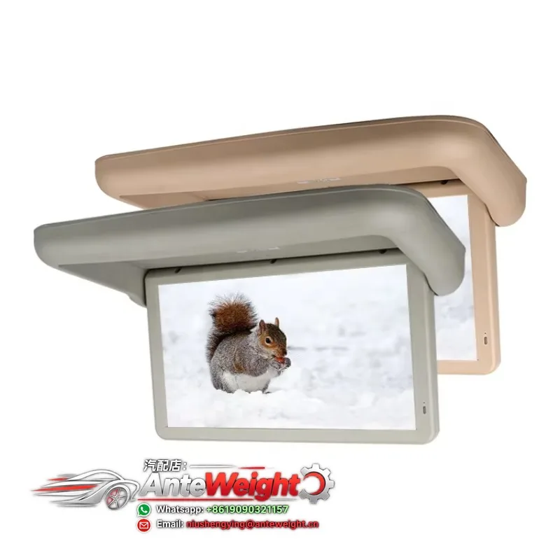 Plant  15.6inch Electric Foldable Flip Down Ceiling Screen TV Universal Display MP5 Car Roof Monitor in RV MVP SUV