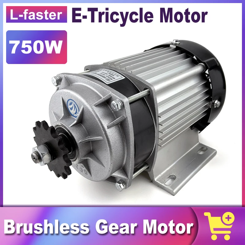 48V 750W High Quality Electric Rickshaw Tricycle Brushless Gear Motor