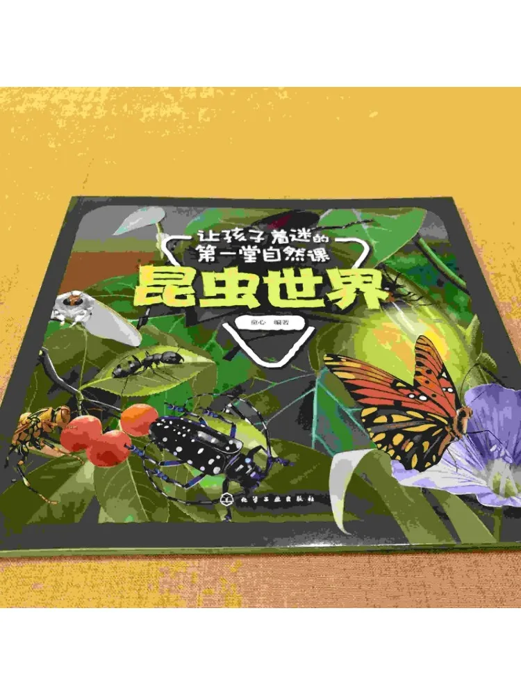 Book-Winshare The First Nature Lesson That Fascinates Children The World Of Insects