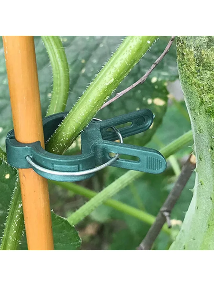 10/100pcs Plant Fixed Clips Reusable Garden Greenhouse Bracket Garden Plants Vine Climbing Clamp Flower Tomato Support Fastener